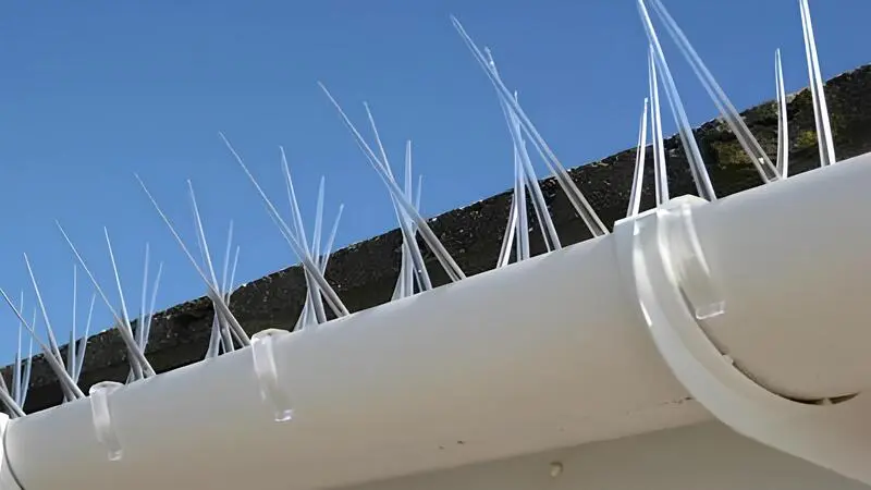 NettyFix Anti Bird Spikes Projects