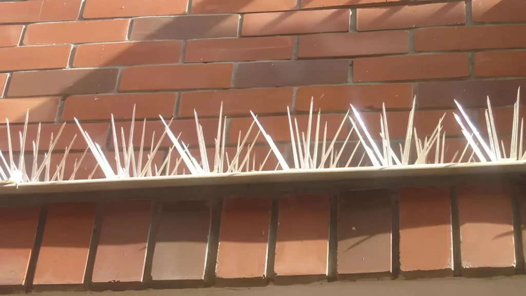 Premium Quality Bird Spikes for Pigeons in Bangalore-NettyFix