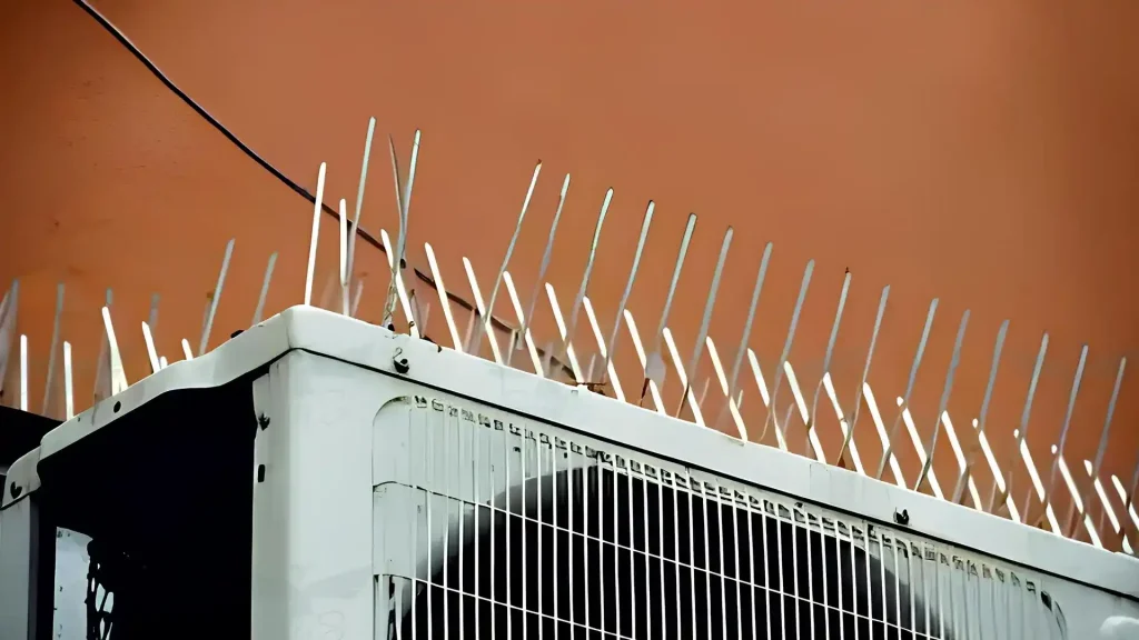 Stainless Steel Bird Spikes for Pigeons in Bangalore-NettyFix